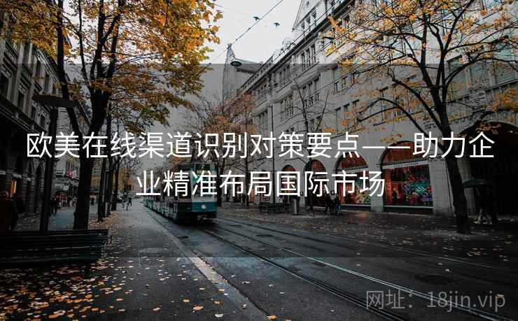 欧美在线渠道识别对策要点——助力企业精准布局国际市场