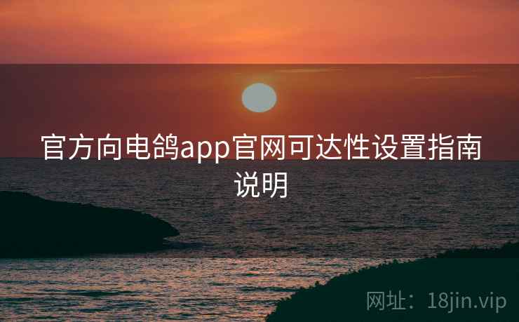官方向电鸽app官网可达性设置指南说明