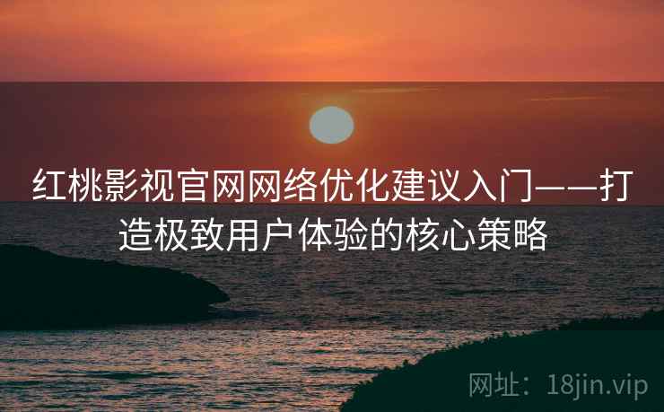 红桃影视官网网络优化建议入门——打造极致用户体验的核心策略