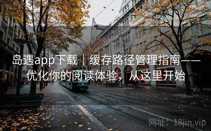 岛遇app下载｜缓存路径管理指南——优化你的阅读体验，从这里开始