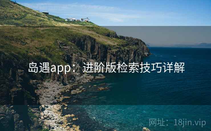 岛遇app：进阶版检索技巧详解