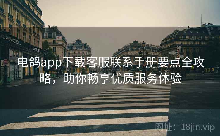 电鸽app下载客服联系手册要点全攻略，助你畅享优质服务体验