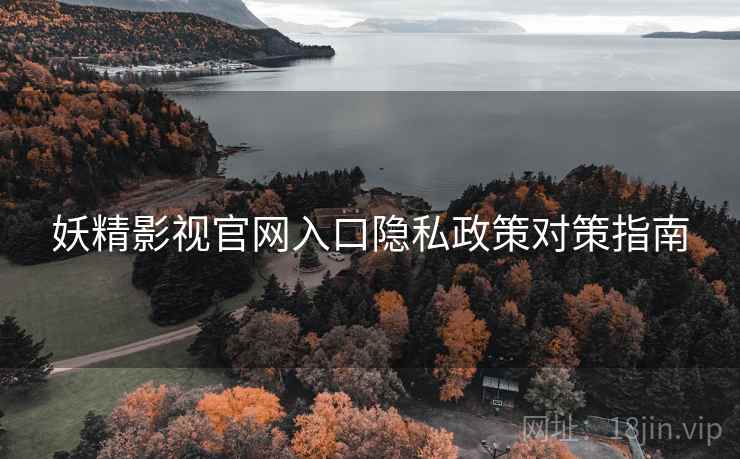 妖精影视官网入口隐私政策对策指南