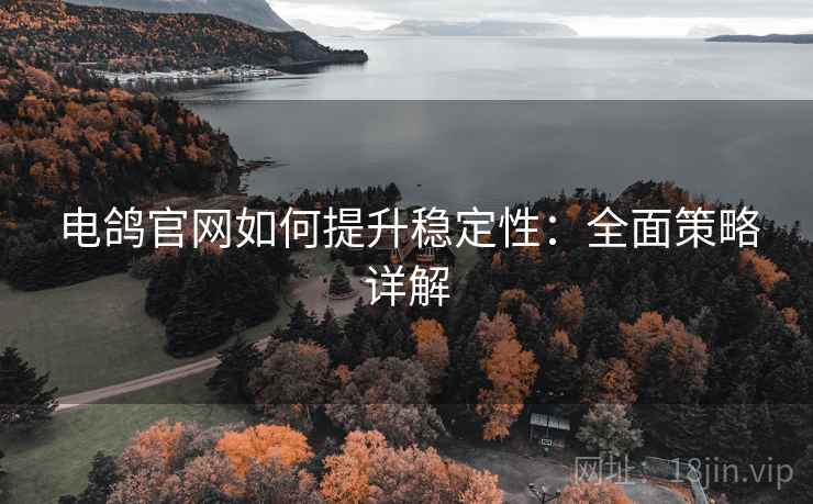 电鸽官网如何提升稳定性：全面策略详解