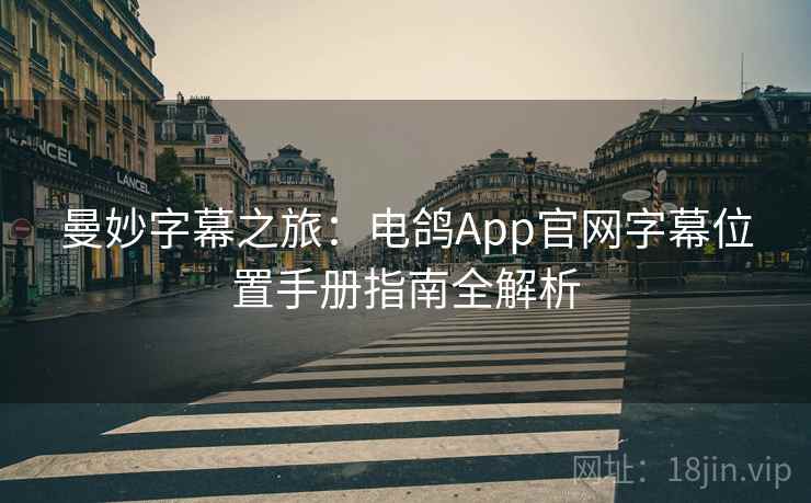 曼妙字幕之旅：电鸽App官网字幕位置手册指南全解析