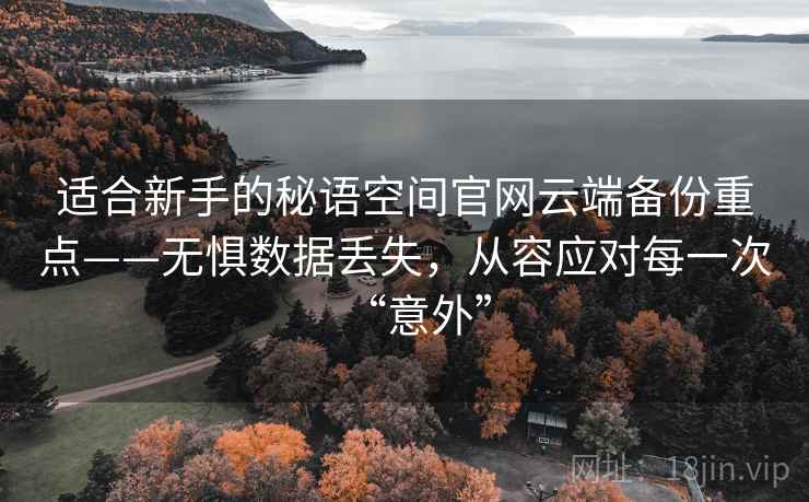 适合新手的秘语空间官网云端备份重点——无惧数据丢失，从容应对每一次“意外”