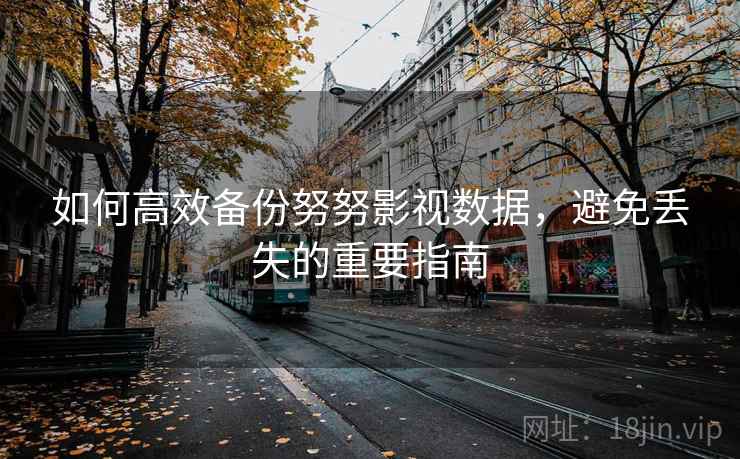 如何高效备份努努影视数据，避免丢失的重要指南