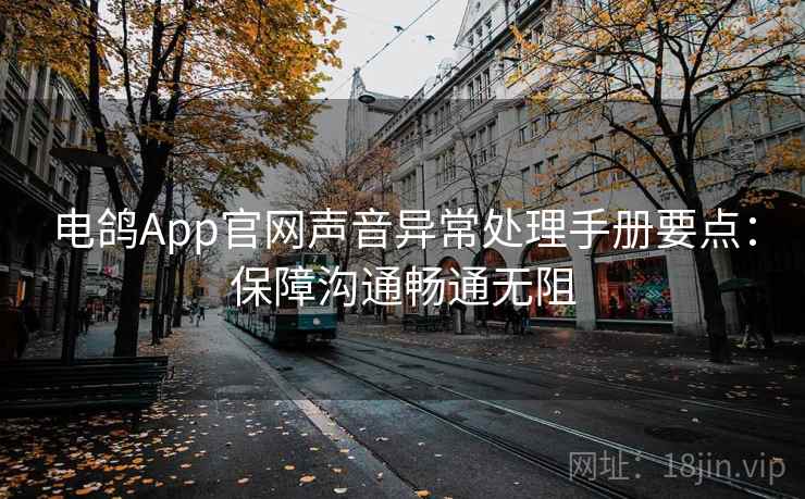 电鸽App官网声音异常处理手册要点：保障沟通畅通无阻