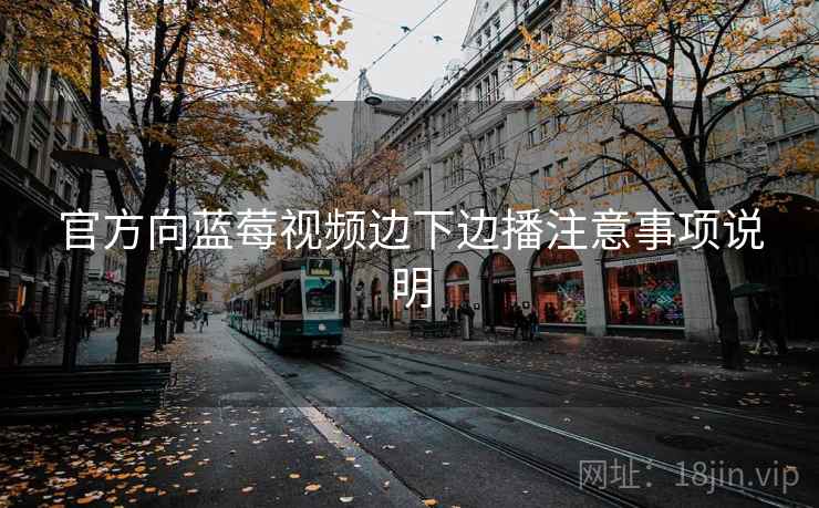 官方向蓝莓视频边下边播注意事项说明