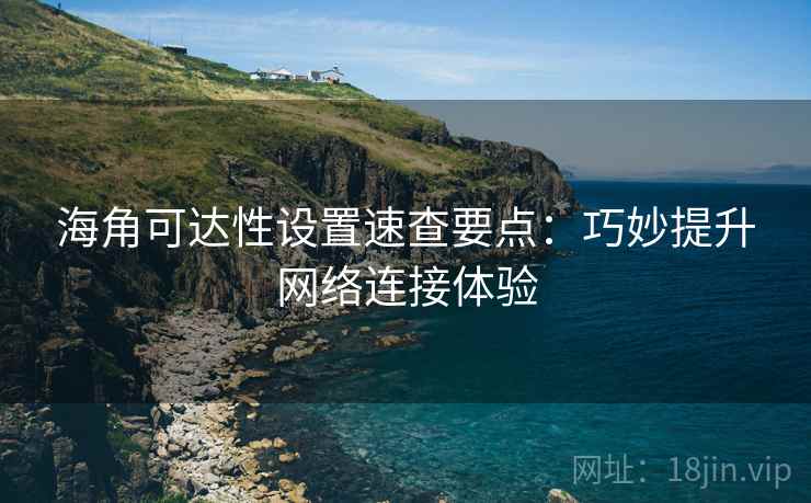 海角可达性设置速查要点：巧妙提升网络连接体验